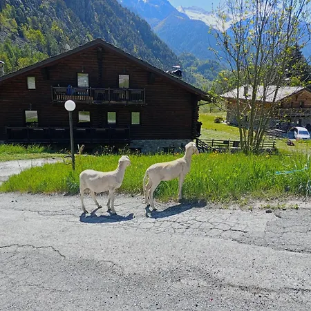 Casa de Campo Les Hiboux Brusson
